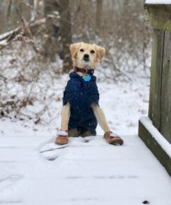URBEST Dog Shoes with Hook Loop Closure Booties Pet Dog Chihuahua Shoes Boots, 4Pcs (5#, Brown) 5# 28 71uUV5cgxoL