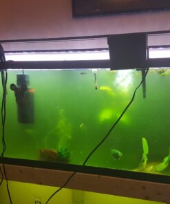 MarineLand Magnum Polishing Internal Canister Filter, For aquariums Up To 97 Gallons, 10.5 IN (ML90770) 37 71uXidELPWL