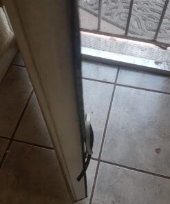 Yotache Weather Stripping Door Seal Strip, 1/4 in x 1/8 in x 83Ft Total, High Density, Soundproof, Weatherproof Insulation Foam Tape Strip for Door Frame and Window, 5 Strips 1/4 x 1/8" 29 71uZdJfC2 L