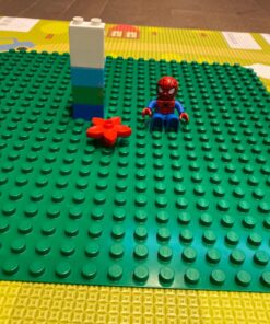 LEGO DUPLO Creative Play Large Green Building Plate 2304 Building Kit (1 Piece) 19 71uaxRBnkzL