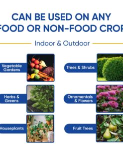 AgroMagen, GrowSafe Bio-Pesticide For Spider, Organic Natural Miticide, Fungicide and Insecticide, (8.5 fl.oz.) 8.5 Fl Oz (Pack of 1) 30 71ub1K6Ta5L