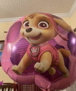 Paw Patrol Girls Pup Skye and Everest Foil Balloons Birthday Party Supplies (5 Piece Bouquet) 21 71ueT79rNOL