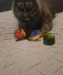 PETFAVORITES Original Mylar Crinkle Balls Cat Toys - 12 Pack 16 71uhzTDbXyL