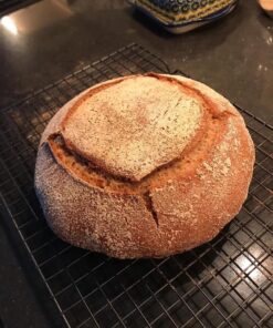 SOURDOUGH - THE ULTIMATE GUIDE TO MAKING SOURDOUGH BREAD /ANGLAIS 30 71ujLrQZp0L