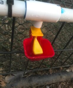 4 Pack NO PECK Poultry Waterer Drinking Cup with 1/2" PVC Tee Poultry Watering System for Chicken Ducks Quail 22 71ulTDT6cHL