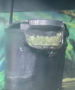 Seachem Indoor Purigen Organic Filtration Resin - Fresh and Saltwater 100 ml 30 71ula7EUpFL