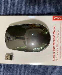 Lenovo 530 Full Size Wireless Computer Mouse for PC, Laptop, Computer with Windows - 2.4 GHz Nano USB Receiver - Ambidextrous Design - 12 Months Battery Life - Graphite Grey 21 71umaaCWyJL