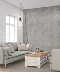 Edison 1-Light Plug-in Pendant, Matte Black, Black Woven Fabric Cord, in-Line On/Off Switch,65114 23 71umj0ytPoL