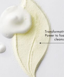 AMOREPACIFIC Treatment Enzyme Peel Cleansing Powder Exfoliating Face Cleanser 1.9 Ounce (Pack of 1) 12 71unEheJMxL