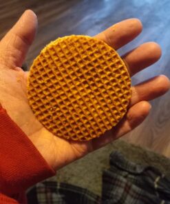 Rip Van WAFELS Dutch Caramel & Vanilla Stroopwafels, Healthy Non GMO, Low Calorie / Sugar Office Snacks, Keto Friendly, (3g), 12 Count (Packaging May Vary) 1.16 Ounce (Pack of 12) 47 71unZzOCi L 1