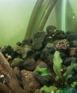 Natural Lava Rocks for Fire Pit | 7 Lb. Bag of Fire Pit Lava Rocks | 1 Pack 7 Lb. 18 71uoZa6Dj3L