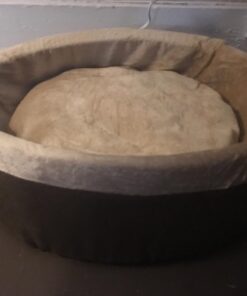 K&H Pet Products Thermo-Kitty Bed Heated Cat Bed Small 16 Inches Mocha/Tan 16.0"L x 16.0"W x 6.0"Th Retail Package 42 71us U RqL