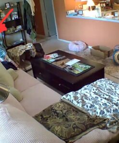 Blink Mini – Compact indoor plug-in smart security camera, 1080p HD video, night vision, motion detection, two-way audio, easy set up, Works with Alexa – 1 camera (White) White Camera Only 27 71uwXylus4L