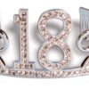 Forum Novelties girls Rhinestone Encrusted in Velvet Gift Box HAPPY BIRTHDAY GEM TIARA 18, Silver, 8 x 4 Inch US 4 71ux oXp45L