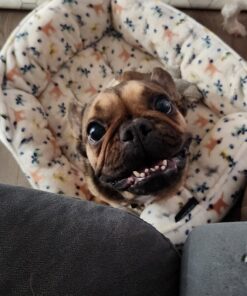 IMPROVIA® Washable Underpads, 34" x 36" (Pack of 4) - Heavy Absorbency Reusable Bedwetting Incontinence Pads for Kids, Adults, Elderly, and Pets - Waterproof Protective Pad for Bed, Couch, Sofa, Floor 4 Pack - 34x36 32 71uxHHQ8t5L