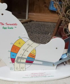 The Incredible Egg Scale 1 35 71uxWXvZANL