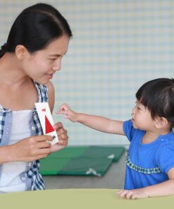 Carson Dellosa Early Learning Flash Card Set—PreK-Grade 3 Alphabet, Colors and Shapes, First Words, Numbers 0-25, Phonics, Sight Words Flash Cards With Dividers (324 Flash Cards) 10 71uxaJNgucL