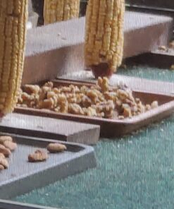 Kirkland Signature Walnuts (2 Packages (3lbs)) 7 71uy8Md2IL