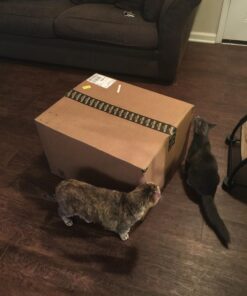 Camco 42895 XL Collapsible Container-22 X 28", Green 21 71uynR3 u8L