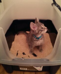 IRIS USA Open-Top Cat Litter Box with Shield and Scoop, Navy 45 71v f UCN L