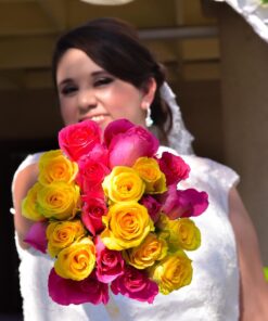 Nikon D750 w/ 24-120mm Lens 77 71v x9invRL