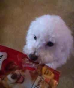 Milk Bone Soft & Chewy Dog Snacks (Beef & Filet Mignon Recipe) 37Oz 2.31 Pound (Pack of 1) 11 71v338BmMOL