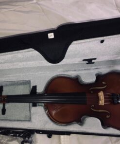 SKY 4/4 Full Size SKYVN201 Solid Maple Wood Violin with High Quality Lightweight Case, Brazilwood Bow, String, Rosin and Mute 49 71v8IMZxzL