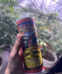 Fox Farm FX14091 Big Bloom Liquid Concentrate Fertilizer, 1 Pint, White 23 71v8JL yXzL