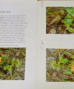 Brother Wireless Digital Color Printer with Convenience Copying and Scanning (HL-3180CDW), Amazon Dash Replenishment Ready HL-3180CDW 15 71vA4QauPOL