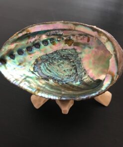 New Age Smudges & Herbs® 5 - 6 inches Premium Natural Abalone Shell &Wooden Stand~ Smudging, Cleansing Home, Meditation, Incense Holder, Home Décor, 100% Natural & Sustainable. 54 71vC6WzADBL 1