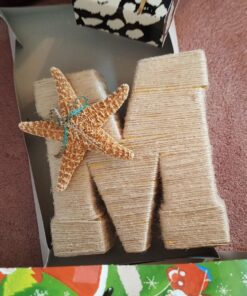 U.S. Shell, Inc. Starfish Mix 29 71vD0nk7LrL