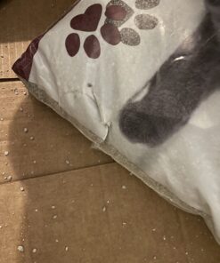 Dr. Elsey's Premium Clumping Cat Litter - Classic - 99.9% Dust-Free, Low Tracking, Hard Clumping, Superior Odor Control, Unscented & Natural Ingredients 18 lb 21 71vMnKP85LL 2