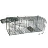 OxGord Live Animal Trap - Humane Catch & Release Large 32" Cage Best for Wild Animals, O-Possum, Stray Cat, Rabbit, Rodents - No-Kill Bait Trapping Kit - 2-Door, Foldable 32" X 12" X 12" 2 71vN91l0VcL