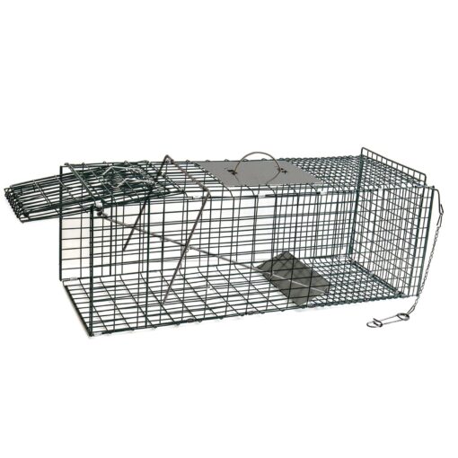 OxGord Live Animal Trap - Humane Catch & Release Large 32" Cage Best for Wild Animals, O-Possum, Stray Cat, Rabbit, Rodents - No-Kill Bait Trapping Kit - 2-Door, Foldable 32" X 12" X 12"