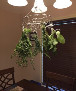 Pro Chef Kitchen Tools Clothes Drying Rack - Round Clothing Racks - Laundry Portable Clothesline Includes 18 Metal Clothespins Hanger Clips Set - Baby Clothes Storage Closet - Herb Hanging Air Dryer 34 71vNvOZ6wKL