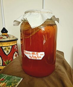The Kombucha Shop Organic Kombucha Starter Kit - 1 Gallon Brewing Kit Includes All The Essentials Required for Brewing Kombucha At Home Regular 48 71vQ7HaSnDL
