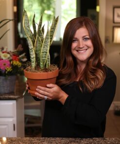 Espoma Organic Perlite; All Natural and Approved for Organic Gardening. Helps Loosen and Aerate Heavy Soils, Prevent Compaction & Promotes Root Growth – Pack of 1 8 quart 22 71vQNH9RksL