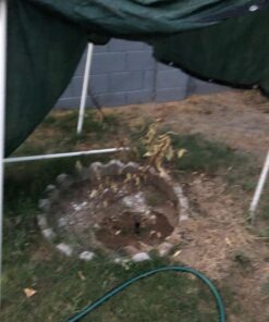 Humboldts Secret Golden Tree: Best Plant Food for Plants & Trees - All-in-One Concentrated Additive - Vegetables, Flowers, Fruits, Lawns, Roses, Tomatoes & More (16 Ounce) 16 Ounce 41 71vQeoZIVwL