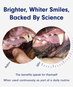 PetLab Co. ProBright Dental Powder for Dogs - Tailored Teeth Cleaning Made Easy – Formula Tailored for Small-Sized Dogs Small Dogs 17 71vQwAliWL