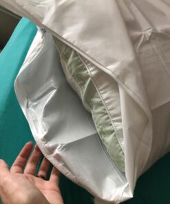 Premium BED Bugs Pillow Protector a Set of 2 Pillow Protectors (Queen (21"x"28)) Queen (21"x"28) 21 71vRxn5DQzL