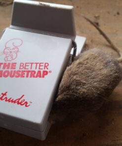 Intruder 30442 The Better Mousetrap, 6-Pack No Size 40 71vTzJnsHEL