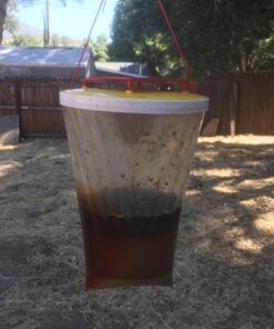 RESCUE! Outdoor Disposable Hanging Fly Trap 1-Pack 26 71vU15HA6L