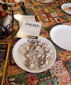 NATIONAL GEOGRAPHIC Gemstone Dig Kit – Excavate 3 real gems including Amethyst, Tiger’s Eye & Rose Quartz - Great STEM Science gift for Mineralogy and Geology enthusiasts of any age Gem Dig 19 71vW2sUOkpL 3