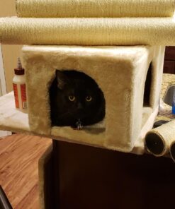 Go Pet Club Cat Tree, 50W x 26L x 72H, Beige 56 71vXPaapPIL