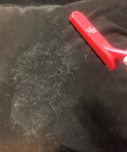 Lilly Brush Forever Furless Pet Hair Remover Brush | Gentle Bristled Cat & Dog Hair Remover Brush for Home, Auto Car Detailing Supplies, Lint Brush, Furniture, Fabric & Rug Cleaner 43 71vXfROgxjL 1