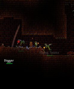 Terraria - Nintendo 3DS 12 71vYh8iqEQL 1