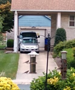 Perky-Pet 325C 2-Tier Copper Panorama Bird Feeder 2 Tier 22 71vZKeIEsL