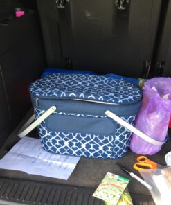 Picnic at Ascot Patented Insulated Folding Picnic Basket Cooler- Designed & Quality Approved in the USA Trellis Blue 14 71vZdShHJAL