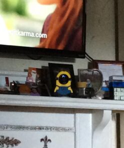 Hide-Your-Cam Nest Cam Camouflage Cover Skin Case Disguise Protection Decoration 13 71vbdZ iSAL