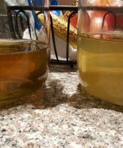 Cultures for Health Water Kefir Grains | DIY Fermented Probiotic Drink Powder for Stronger Gut Health | Heirloom Starter Makes Limitless Supply | Non-GMO Dairy Free Vegan Sparkling Water with Enzymes 0.19 Ounce (Pack of 1) 47 71vcL3viLOL